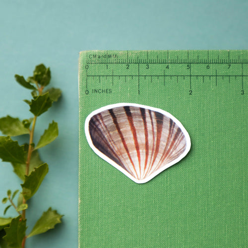 Load image 1 in gallery view. Water's Edge Vinyl Stickers: Long-Billed Curlew, Western Gull, Pismo Clam, Beach Hopper