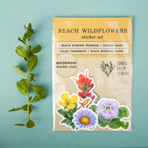 Load image 1 in gallery view. Beach Wildflowers Vinyl Stickers: Beach Morninglory, Beach Evening Primrose, Seaside Paintbrush, Seaside Daisy