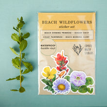 Beach Wildflowers Sticker Set, Four Vinyl Stickers: Beach Morninglory, Beach Evening Primrose, Seaside Paintbrush, Seaside Daisy