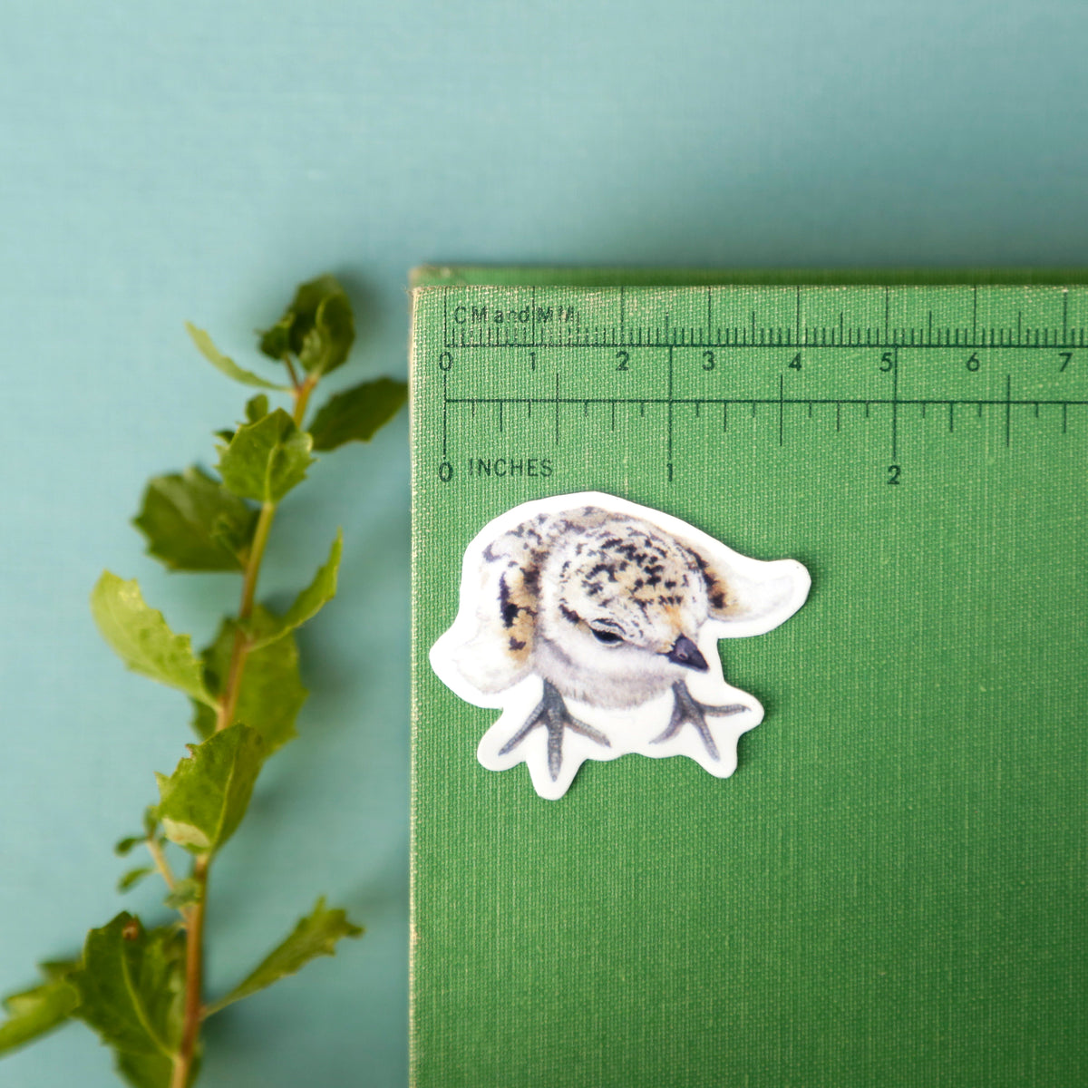 Snowy Plovers Vinyl Stickers: Adult and Chick Snowy Plovers