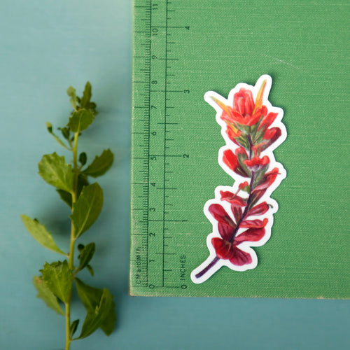 Load image 1 in gallery view. Beach Wildflowers Vinyl Stickers: Beach Morninglory, Beach Evening Primrose, Seaside Paintbrush, Seaside Daisy