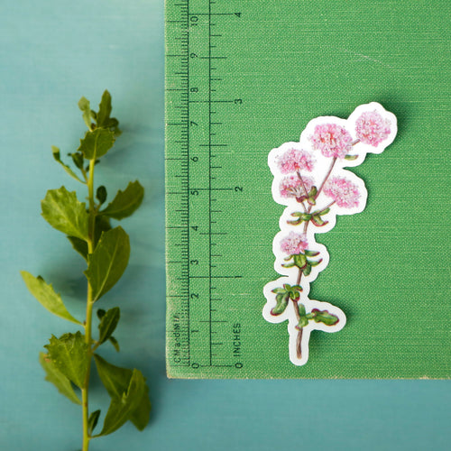 Load image 1 in gallery view. Coastal Dunes Vinyl Stickers: Buckwheat, Poppy, Lupine, butterfly, sand wasp
