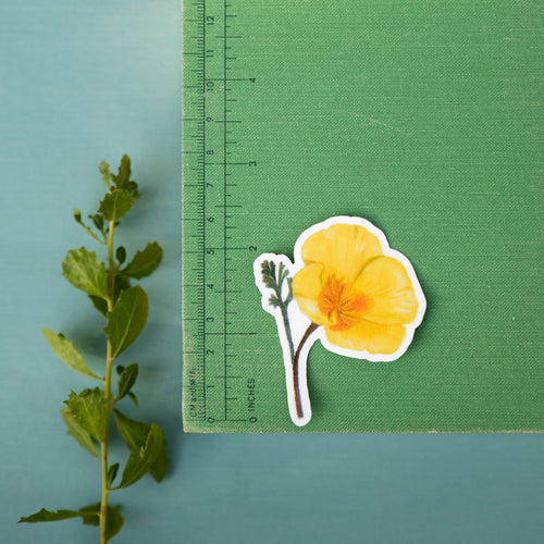 Load image 1 in gallery view. Coastal Dunes Vinyl Stickers: Buckwheat, Poppy, Lupine, butterfly, sand wasp