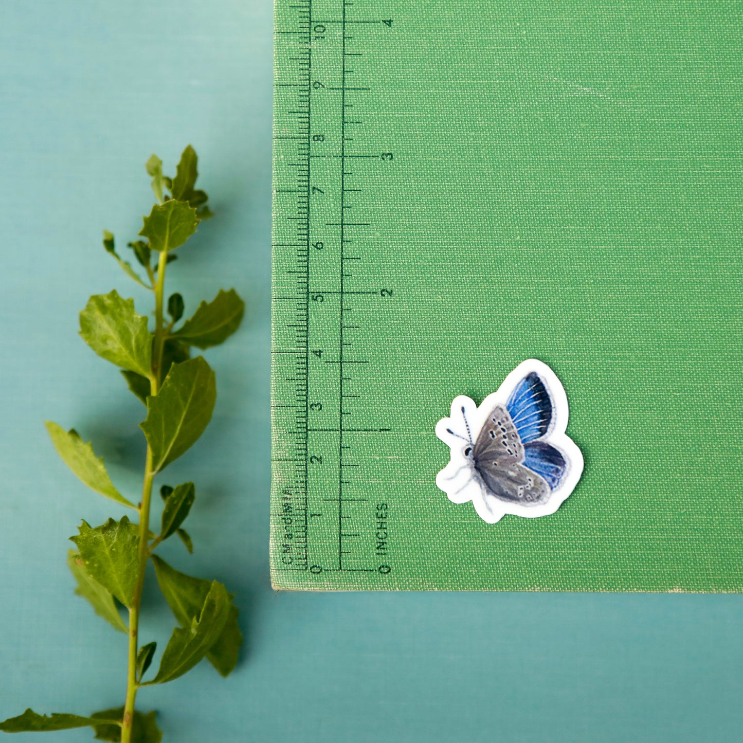 Coastal Dunes Vinyl Stickers: Buckwheat, Poppy, Lupine, butterfly, sand wasp