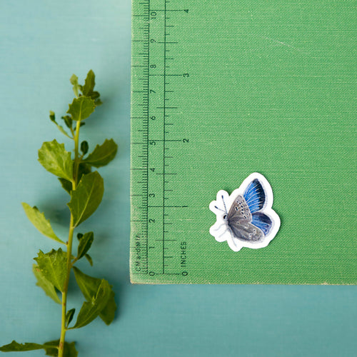 Load image 1 in gallery view. Coastal Dunes Vinyl Stickers: Buckwheat, Poppy, Lupine, butterfly, sand wasp