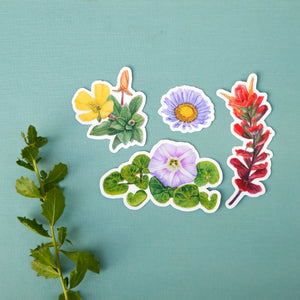 Beach Wildflowers Sticker Set, Four Vinyl Stickers: Beach Morninglory, Beach Evening Primrose, Seaside Paintbrush, Seaside Daisy