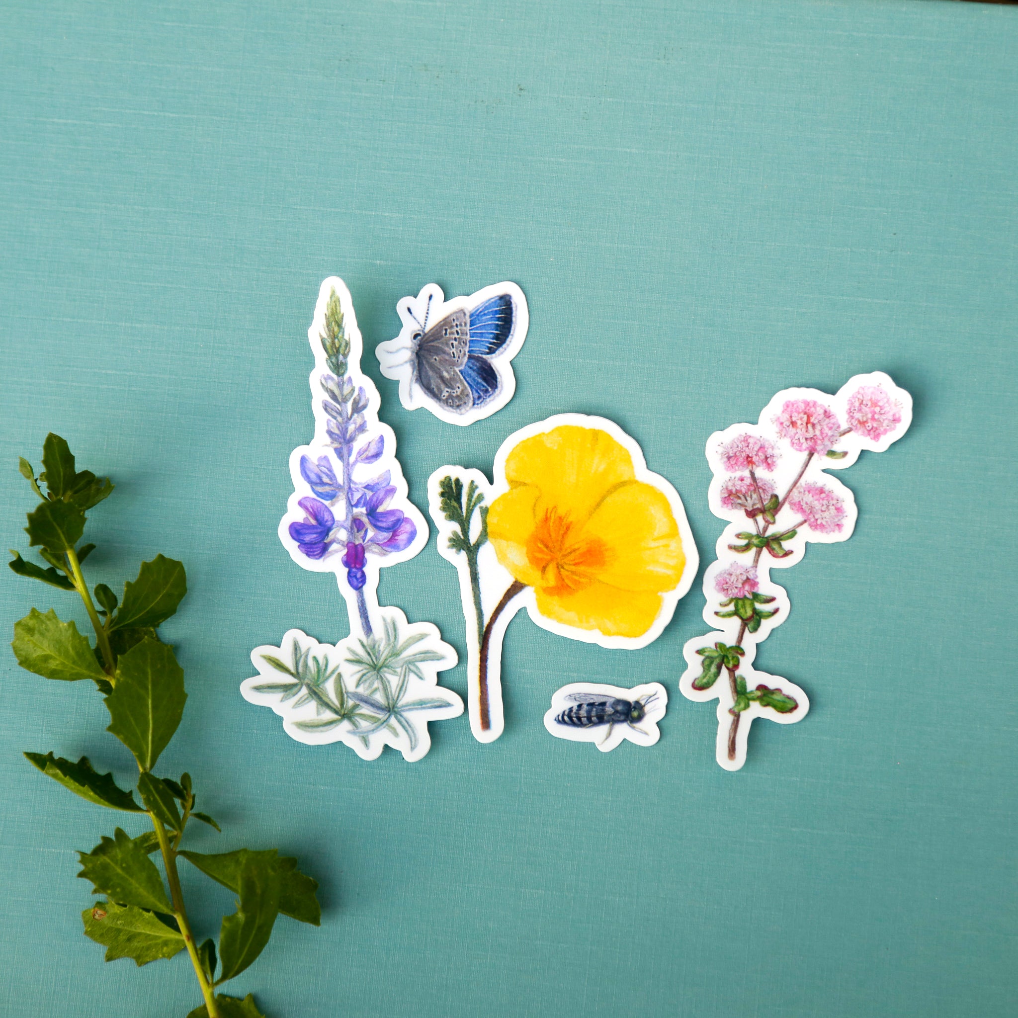 Coastal Dunes Vinyl Stickers: Buckwheat, Poppy, Lupine, butterfly, sand wasp