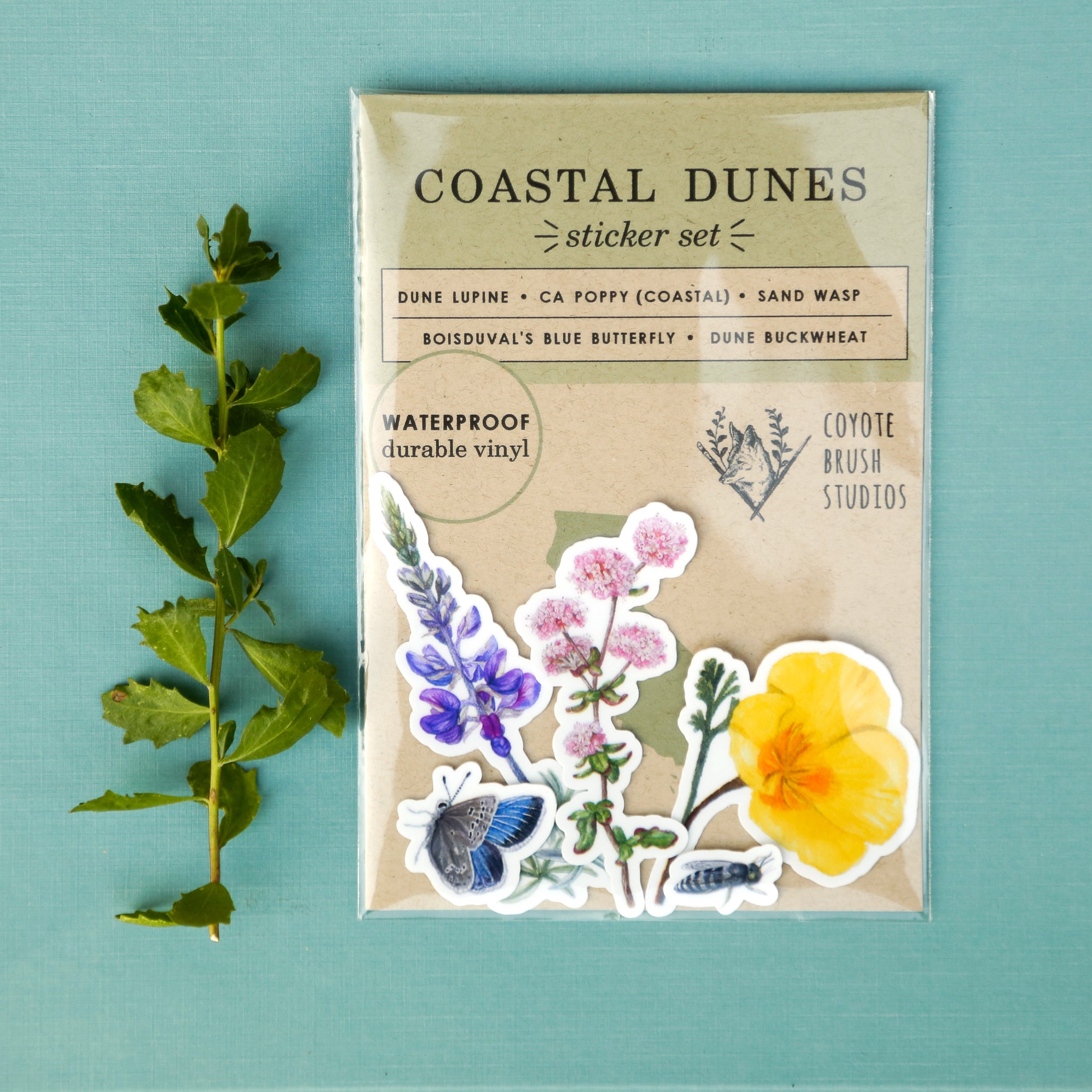 Coastal Dunes Vinyl Stickers: Buckwheat, Poppy, Lupine, butterfly, sand wasp