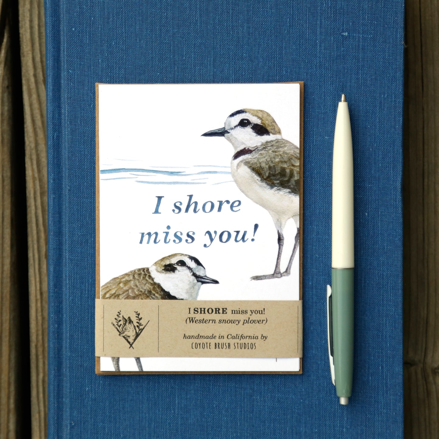 I SHORE miss you! - Snowy Plover Greeting Card