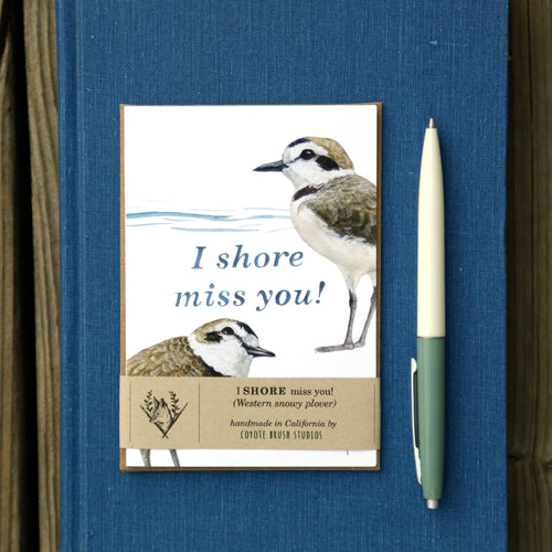 Load image 1 in gallery view. I SHORE miss you! - Snowy Plover Greeting Card