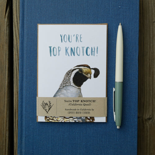 Load image 1 in gallery view. You're Top Knotch! - California Quail Greeting Card