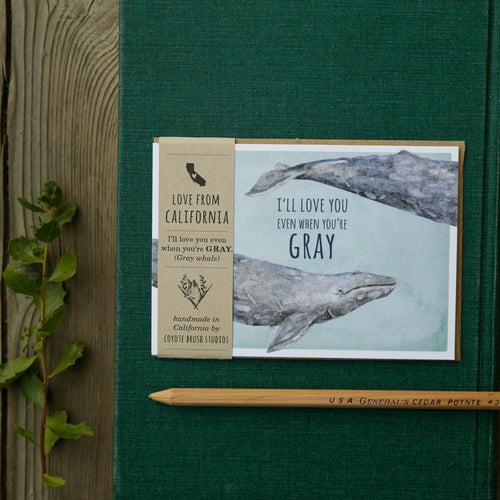 Load image 1 in gallery view. I'll love you even when you're GRAY! - Gray Whale Love Card