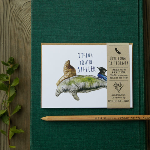 Load image 1 in gallery view. I Think You're STELLER! - Steller's Jay, Steller's Sea Cow, and Steller's Sea Lion Love card