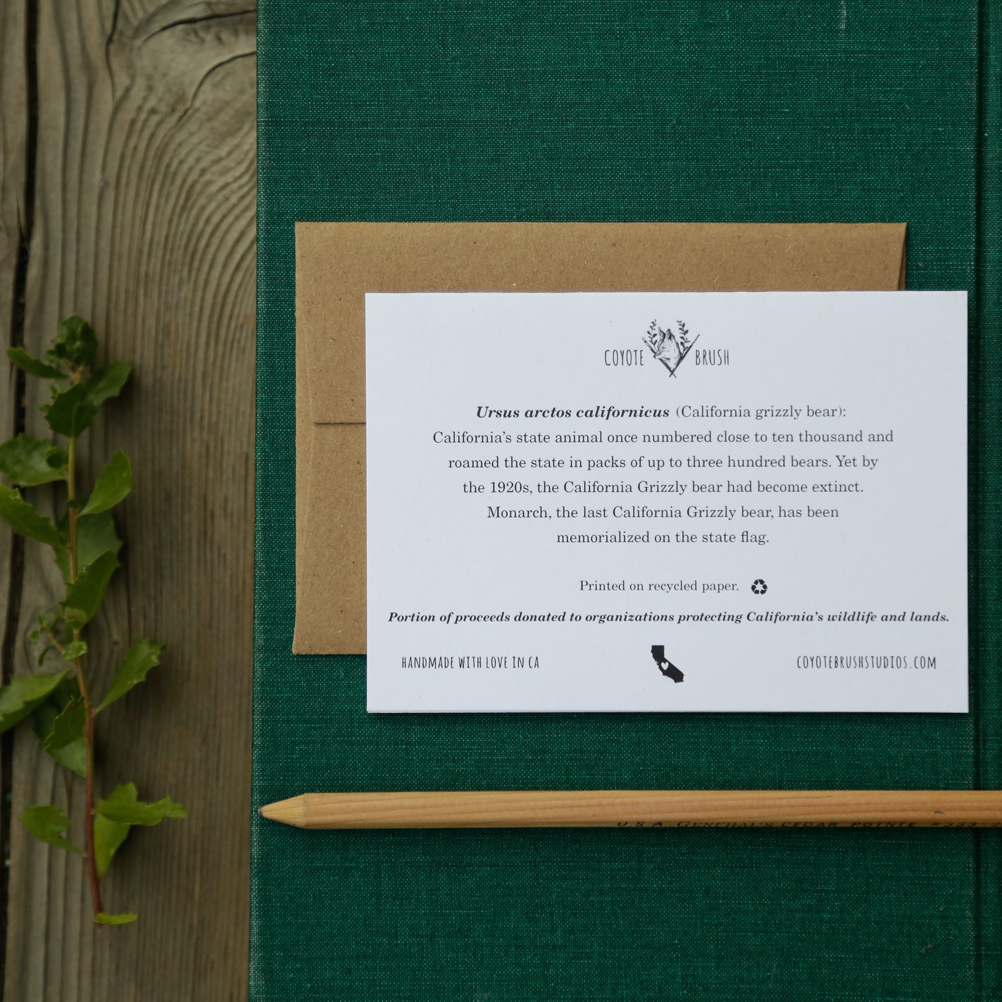 I can't BEAR to be without you! - California Grizzly State Flag Love Card