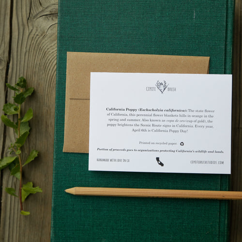 Load image 1 in gallery view. You make my heart POPPY! - California Poppy Love Card