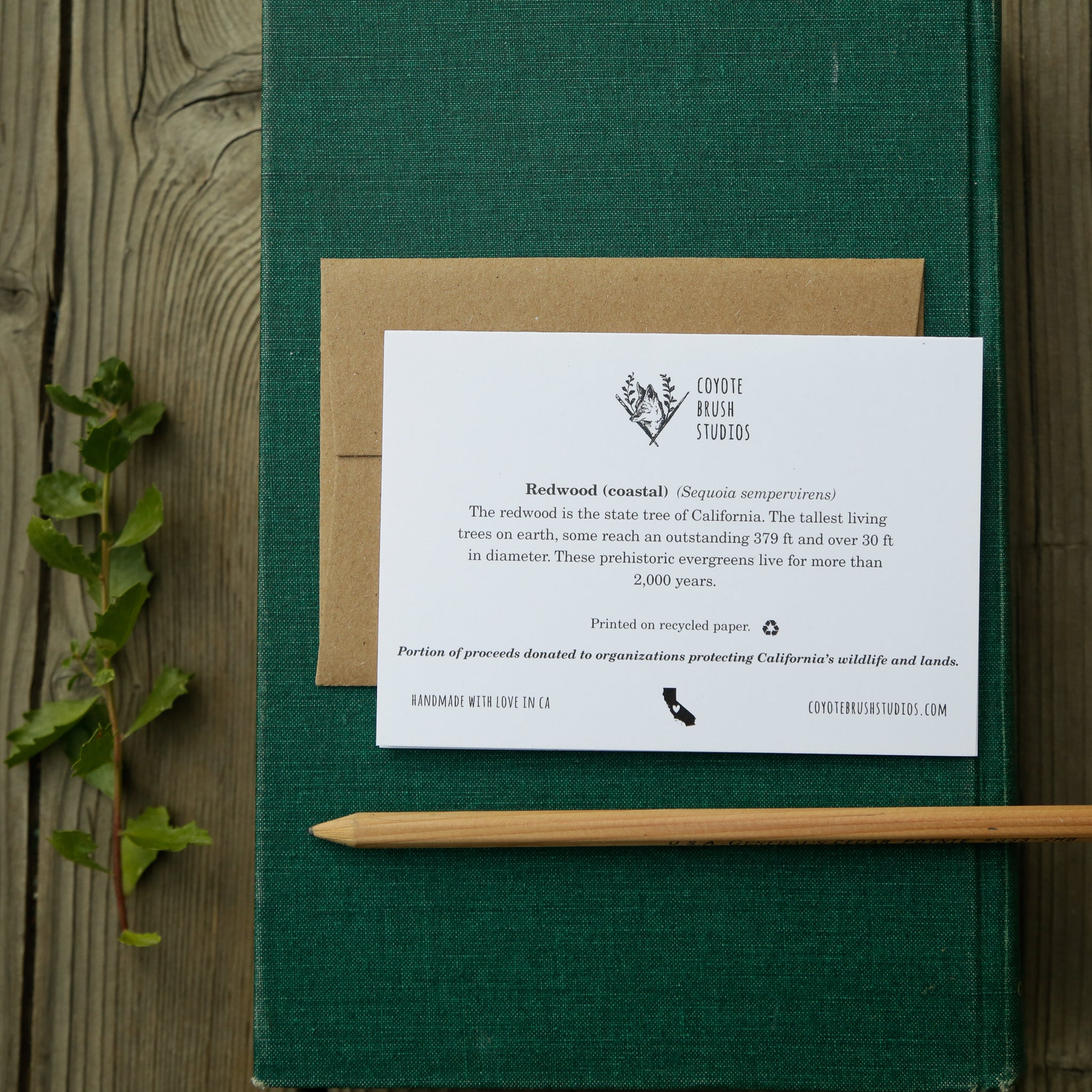 You Make My Heart Reach New Heights! - Redwood Love Card