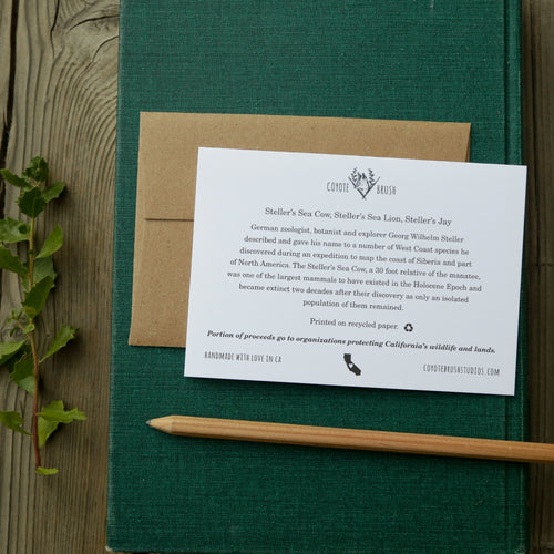 Load image 1 in gallery view. I Think You're STELLER! - Steller's Jay, Steller's Sea Cow, and Steller's Sea Lion Love card
