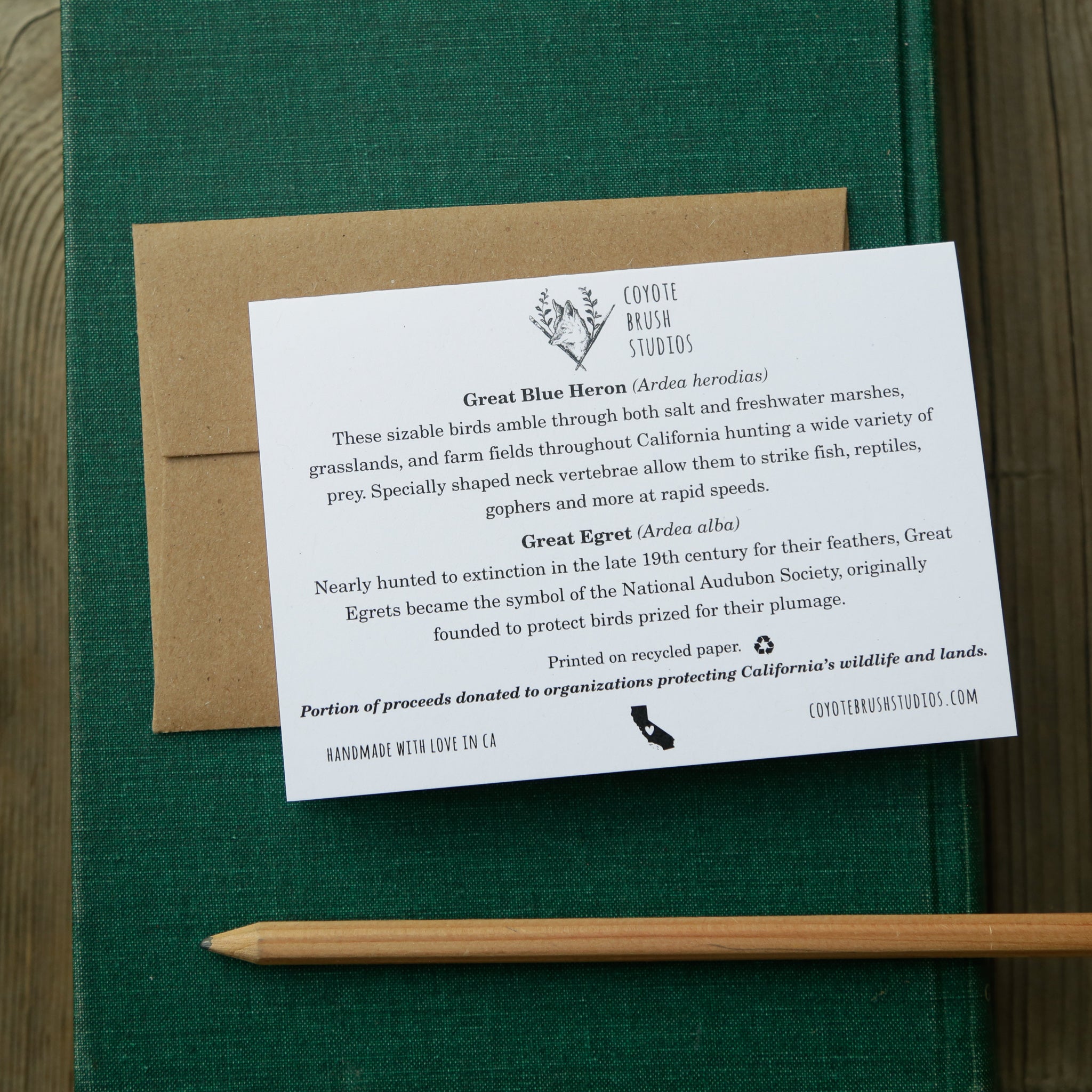 I think you're GREAT! - Great Blue Heron and Great Egret Greeting Card