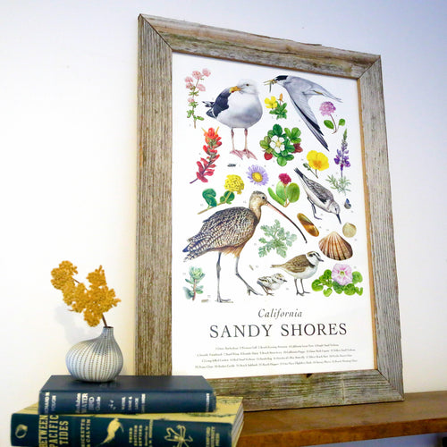 Load image 1 in gallery view. California Sandy Shores Poster