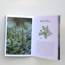 Coastal Sandy Shores Booklet
