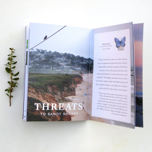 Load image 1 in gallery view. Coastal Sandy Shores Booklet