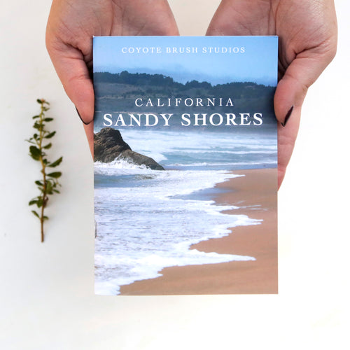 Load image 1 in gallery view. Coastal Sandy Shores Booklet