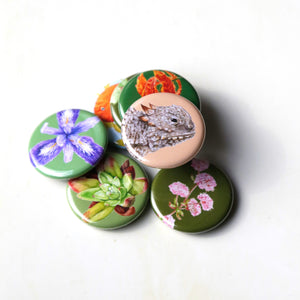 Round Magnets: Mix and Match Set of 4