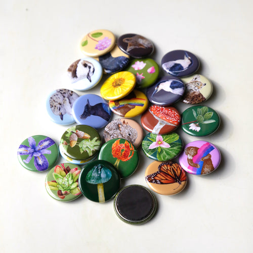 Load image 1 in gallery view. Round Magnets: Mix and Match Set of 4
