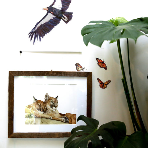 Load image 1 in gallery view. Monarch Migration- Set of 3 Wall Decals
