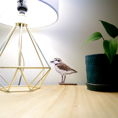 Load image 1 in gallery view. Realistic Snowy plover looking left at a table lamp.