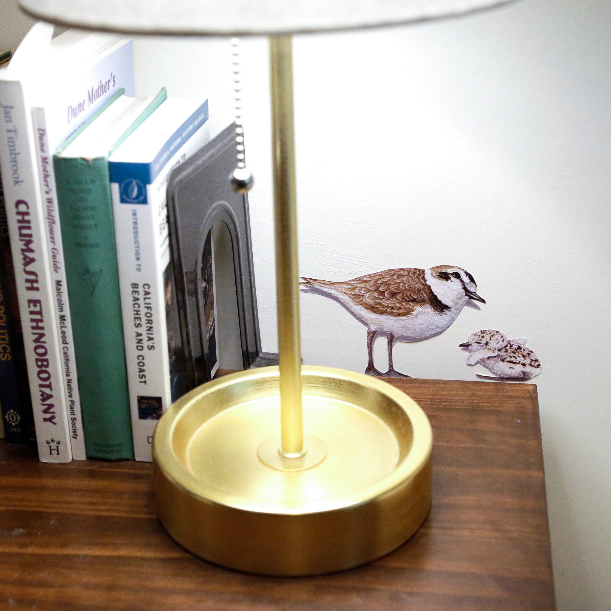 Realistic Snowy Plover adult looking like it stands on bookshelf and looking over a Snowy Plover chick.