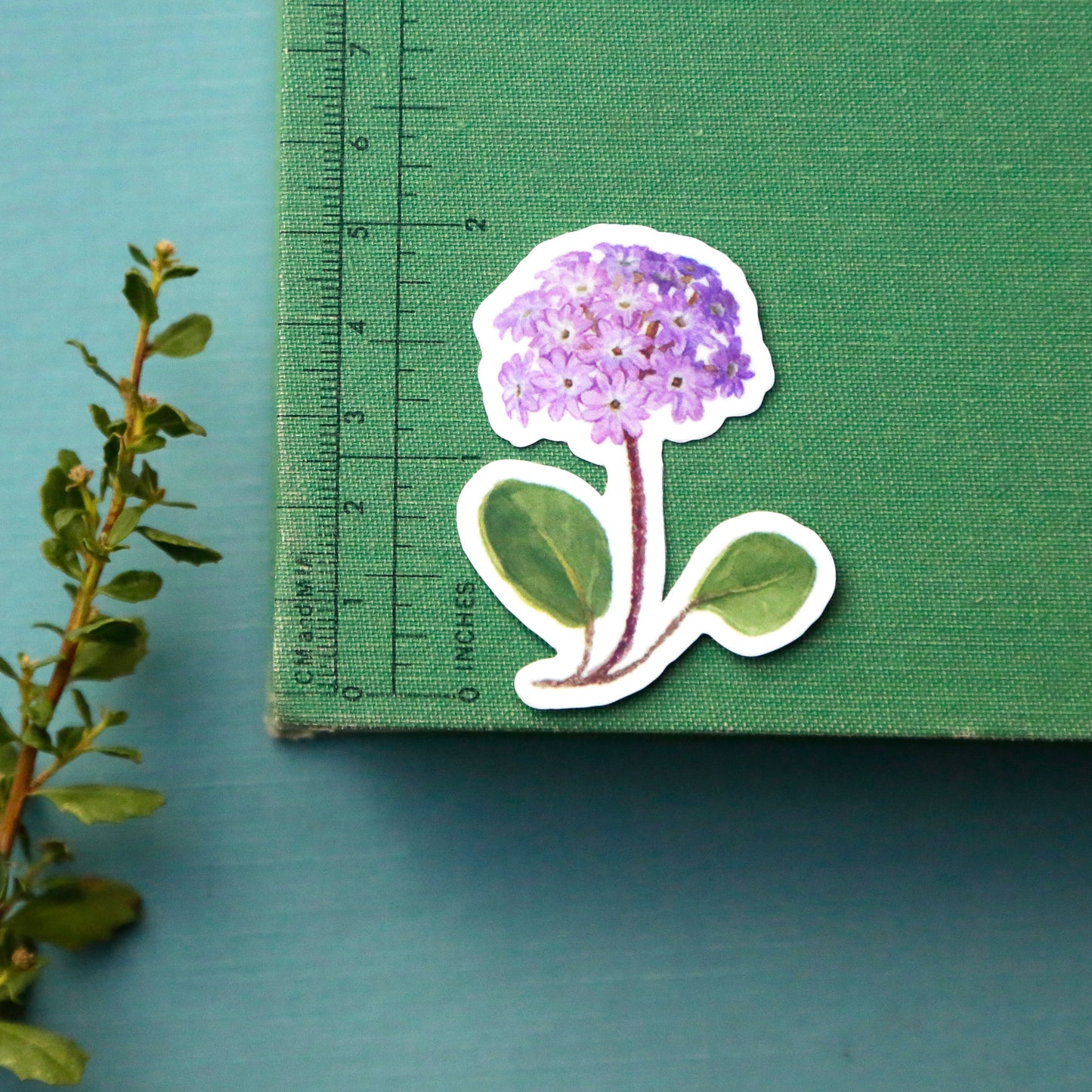 Sandy Shores Vinyl Stickers: CA Least Tern, Snowy Plover, Purple Sand Verbena, Beach Burr, Basket Cockle Shell
