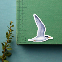 Sandy Shores Sticker Set, Five Vinyl Stickers: California Least Tern, Snowy Plover, Purple Sand Verbena, Beach Burr, Basket Cockle Shell