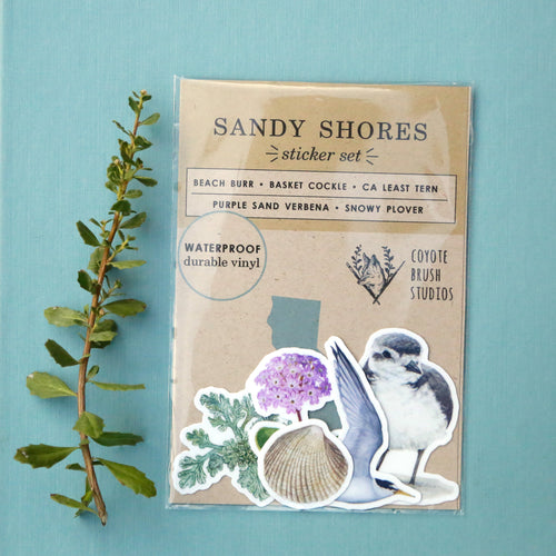 Load image 1 in gallery view. Sandy Shores Vinyl Stickers: CA Least Tern, Snowy Plover, Purple Sand Verbena, Beach Burr, Basket Cockle Shell