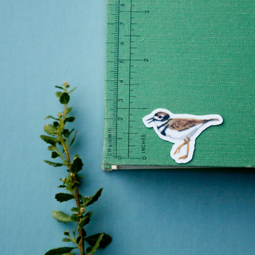 Load image 1 in gallery view. Shorebirds of California Vinyl Stickers: Oystercatcher, Snowy Plover, Killdeer, Seagull, Avocet