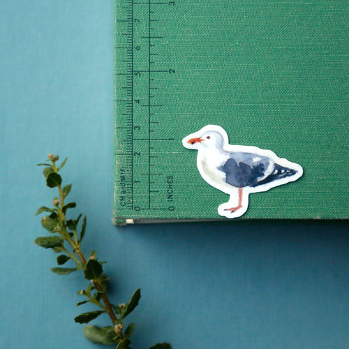 Load image 1 in gallery view. Shorebirds of California Vinyl Stickers: Oystercatcher, Snowy Plover, Killdeer, Seagull, Avocet