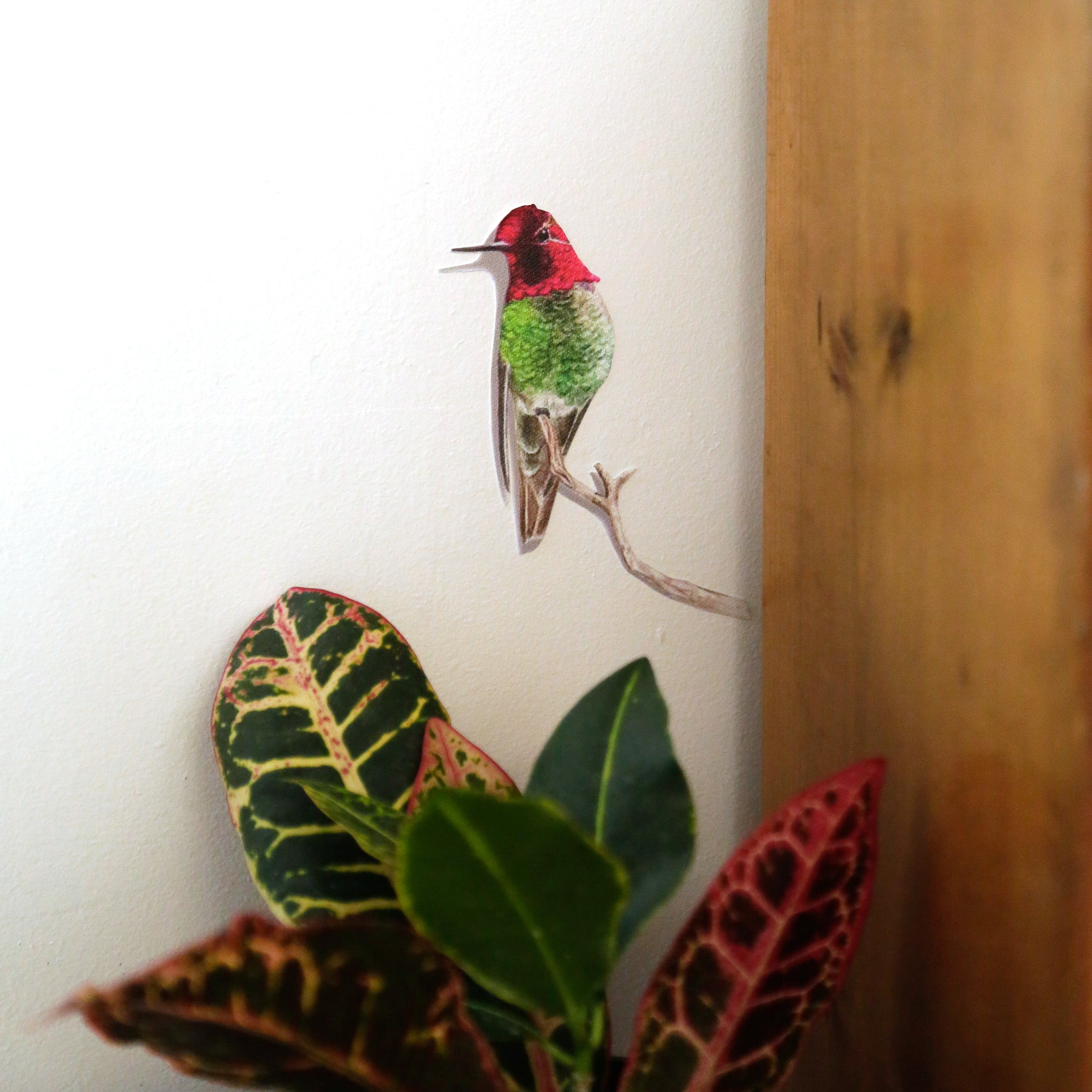 Realistic Anna’s Hummingbird perched on a branch next to a bookshelf.