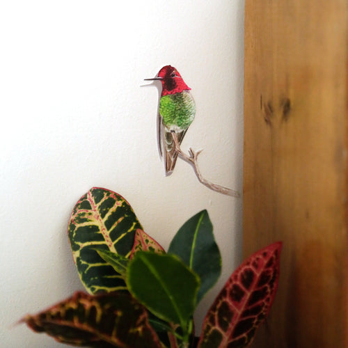 Load image 1 in gallery view. Realistic Anna’s Hummingbird perched on a branch next to a bookshelf.