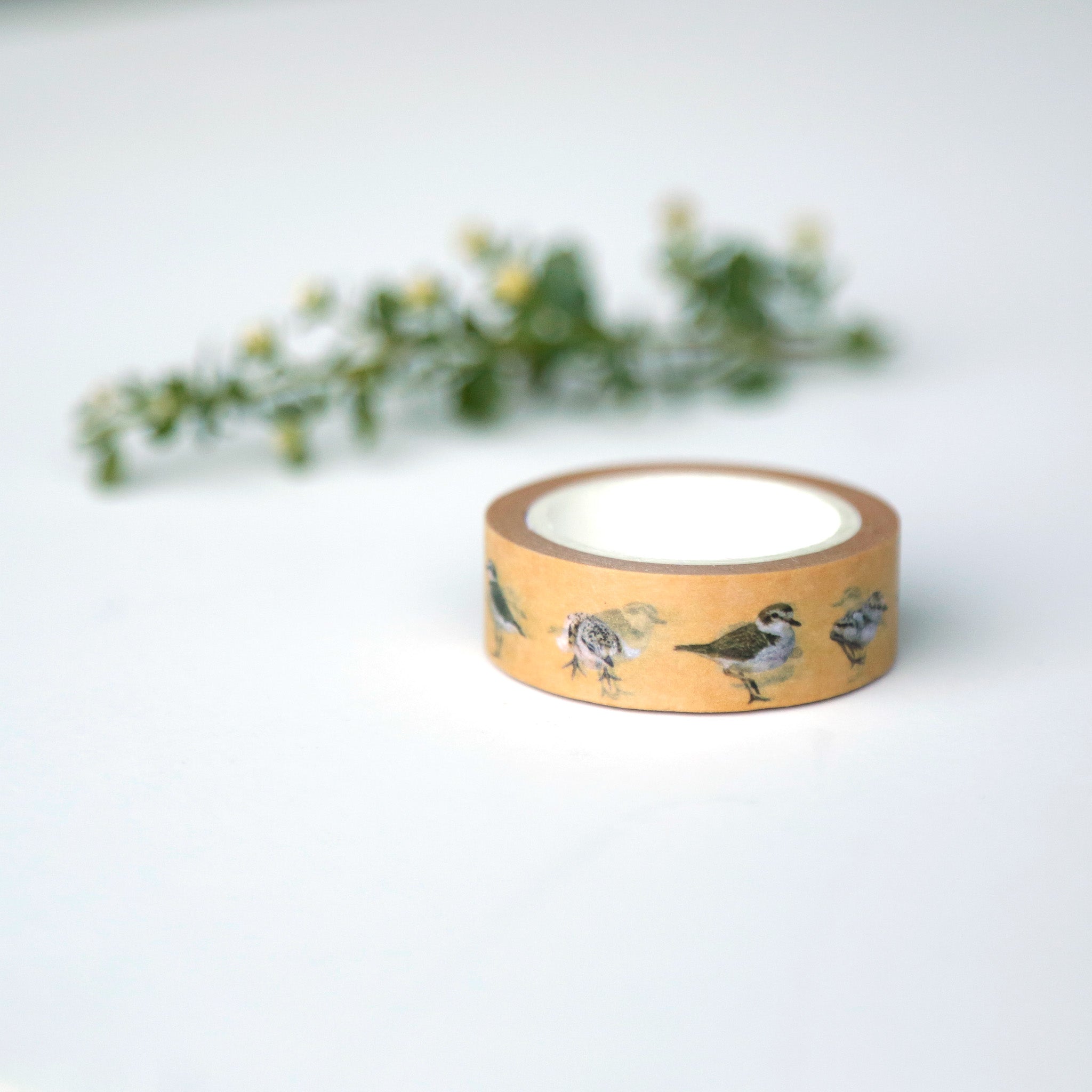 Roll of sand colored tape printed with adult and chick snowy plovers. 
