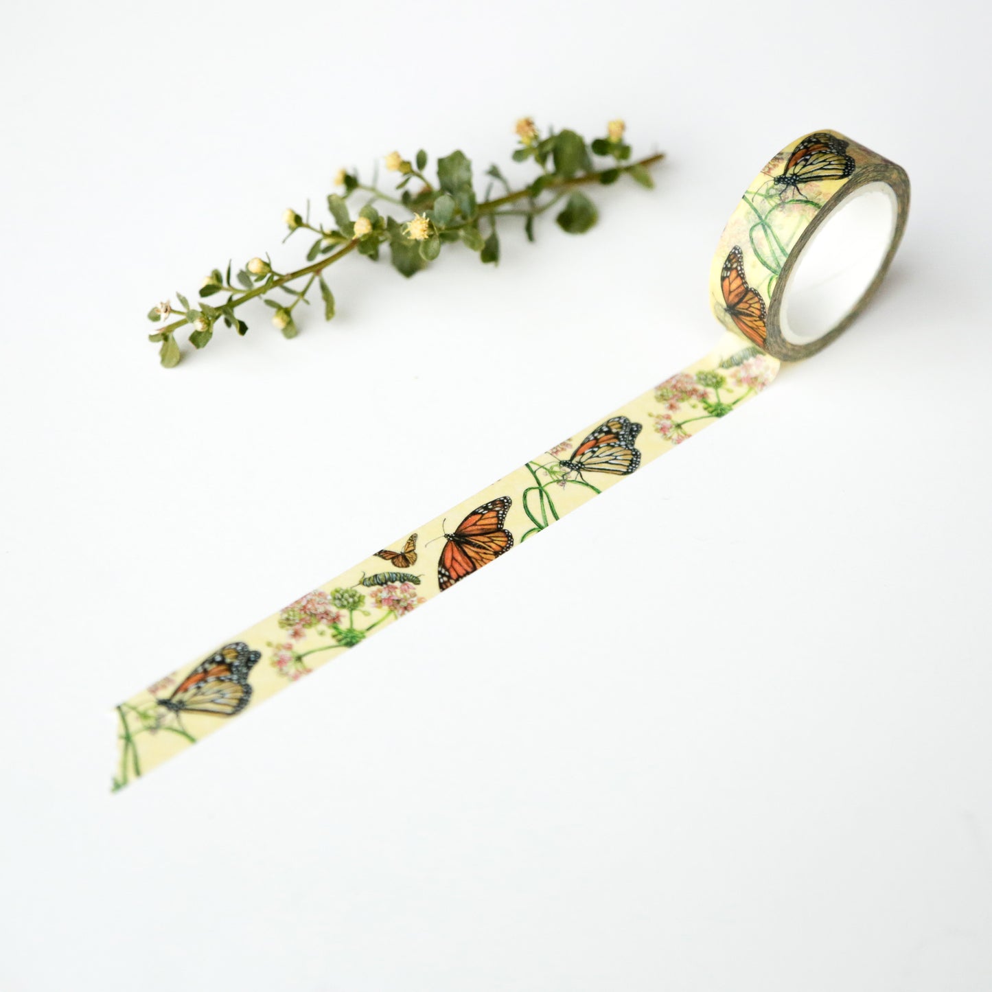 Pale yellow tape unrolled to show monarch butterflies and milkweed design. 