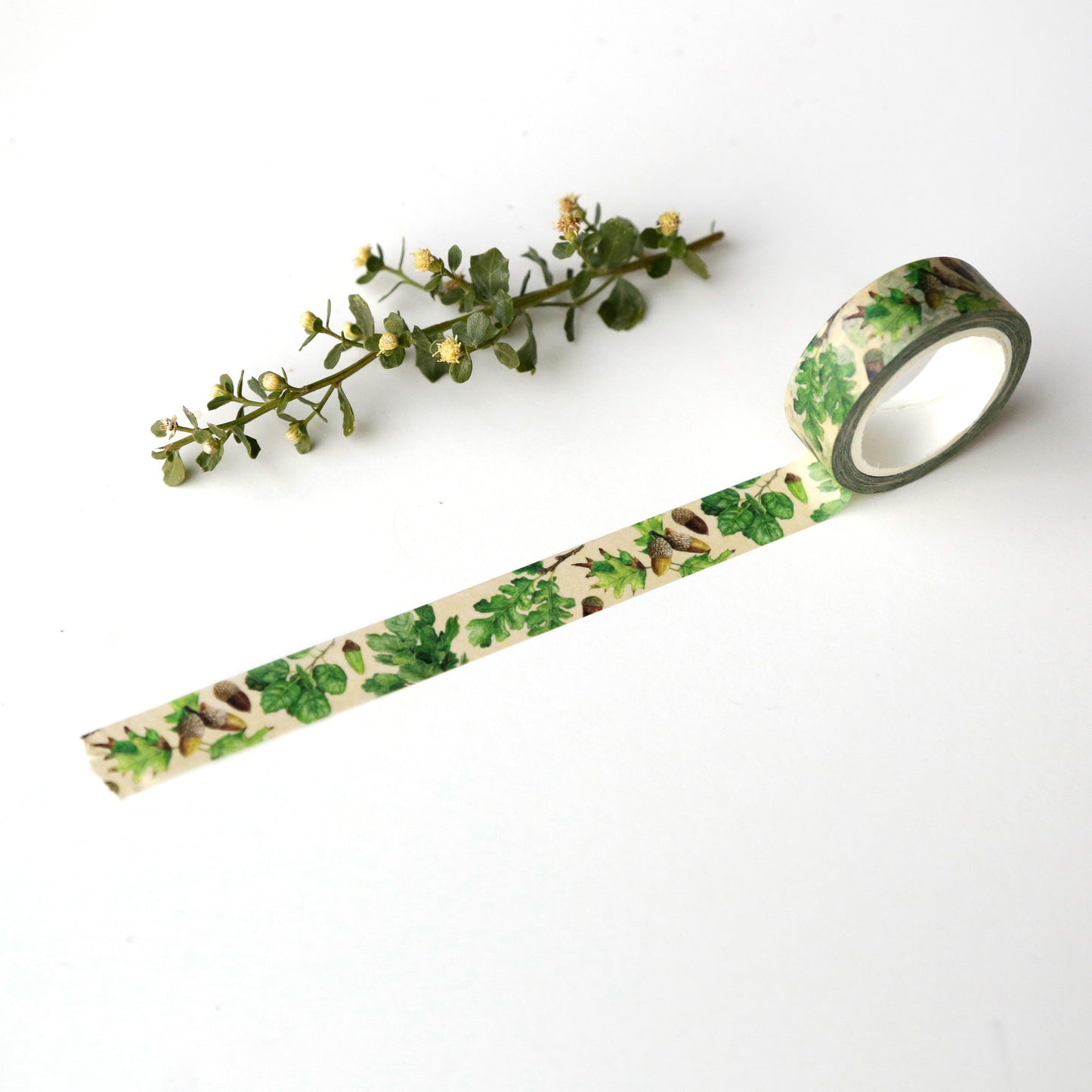 Tan tape unrolled to show various types of oak leaves and acorns printed on it. 