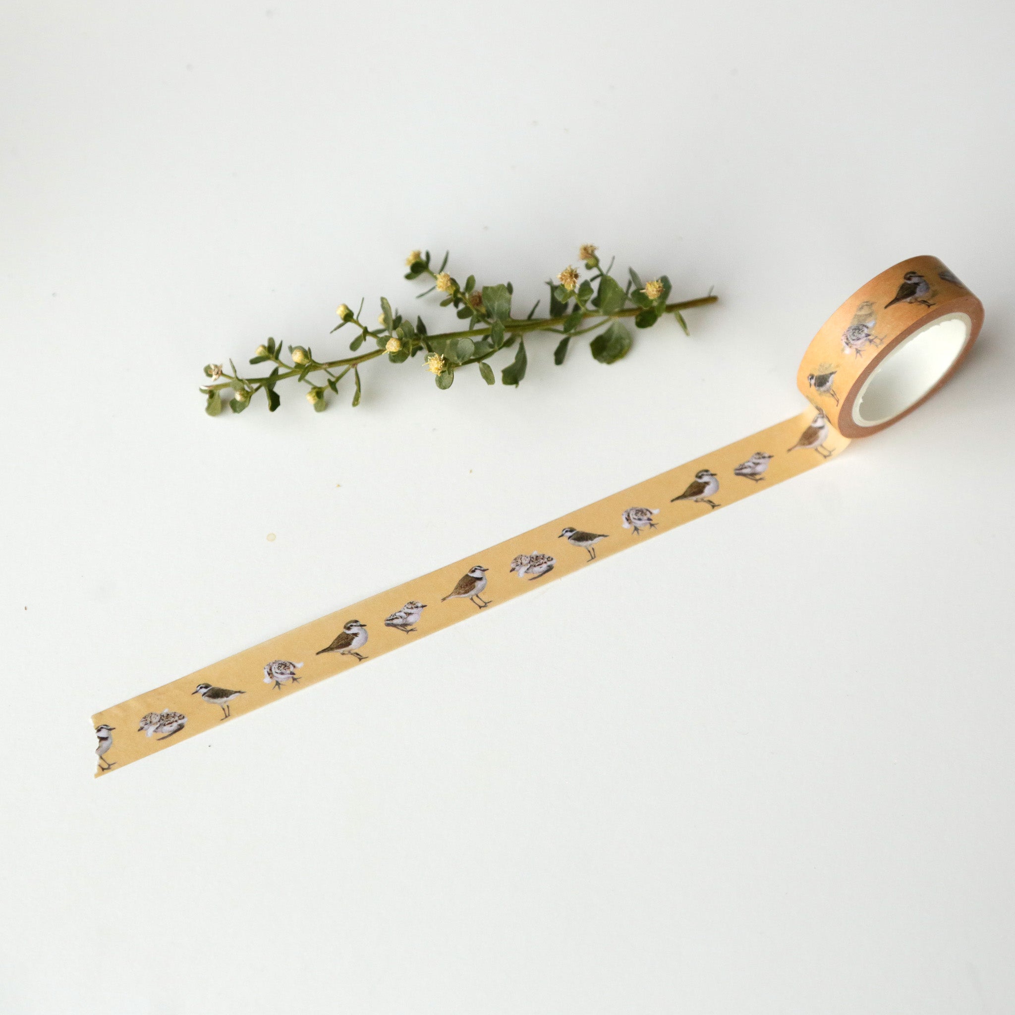 Sand colored tape partially unrolled to show alternating adult and chick snowy plovers printed on it.