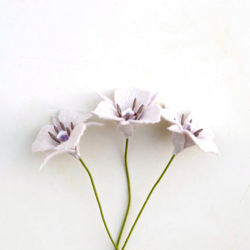 Load image 1 in gallery view. Oakland Star Tulip - Calochortus umbellatus - fiber sculpture, felt flower