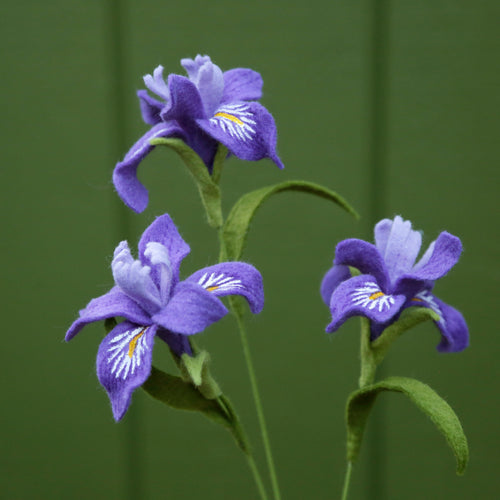 Load image 1 in gallery view. Douglas Iris Felt Flower - Iris douglasiana - fiber sculpture, fabric flower
