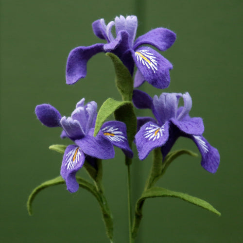 Load image 1 in gallery view. Douglas Iris Felt Flower - Iris douglasiana - fiber sculpture, fabric flower