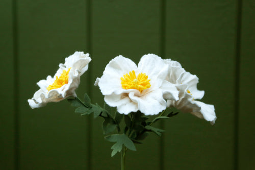 Load image 1 in gallery view. Matilija poppy - Romneya coulteri  - fiber sculpture, felt flower