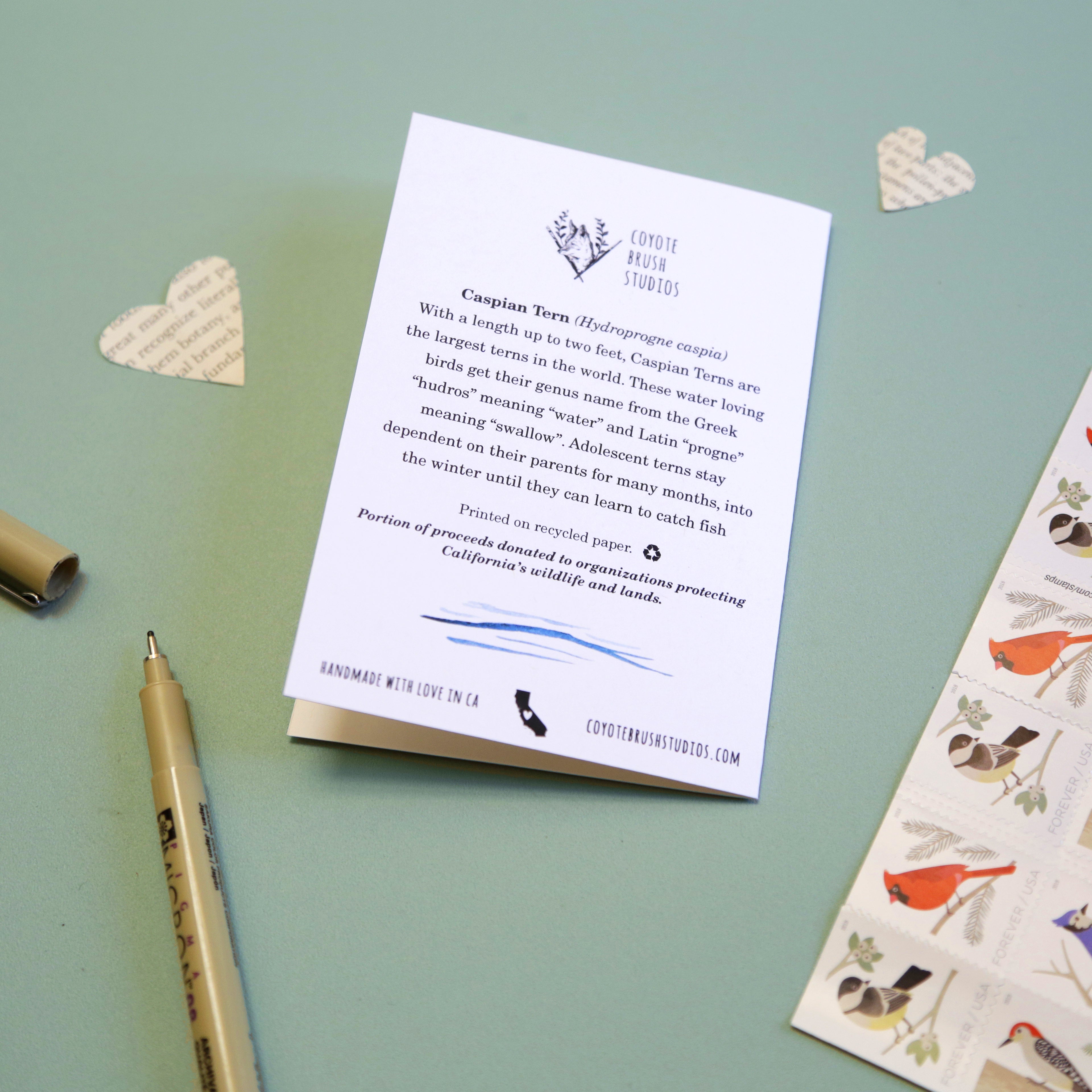 My TERN to send you a note! - Caspian Tern Greeting Card