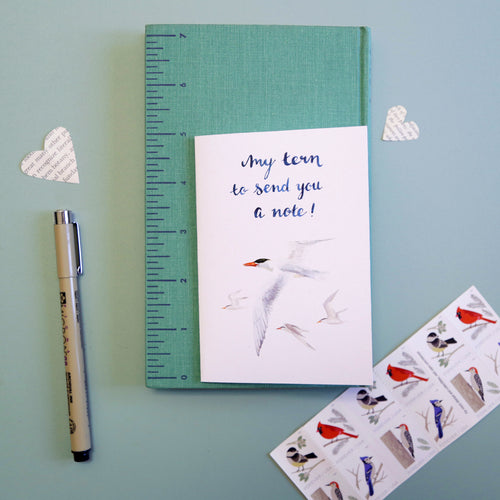 Load image 1 in gallery view. My TERN to send you a note! - Caspian Tern Greeting Card