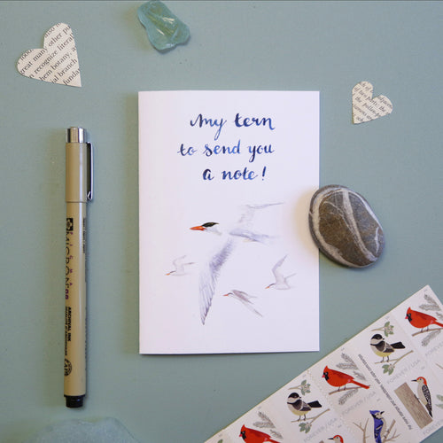 Load image 1 in gallery view. My TERN to send you a note! - Caspian Tern Greeting Card