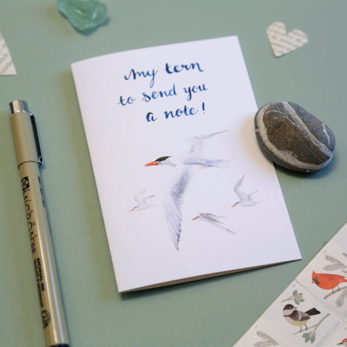 Load image 1 in gallery view. My TERN to send you a note! - Caspian Tern Greeting Card